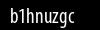 Biztonsági kód