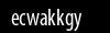Biztonsági kód