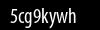 Biztonsági kód