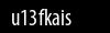Biztonsági kód