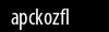 Biztonsági kód